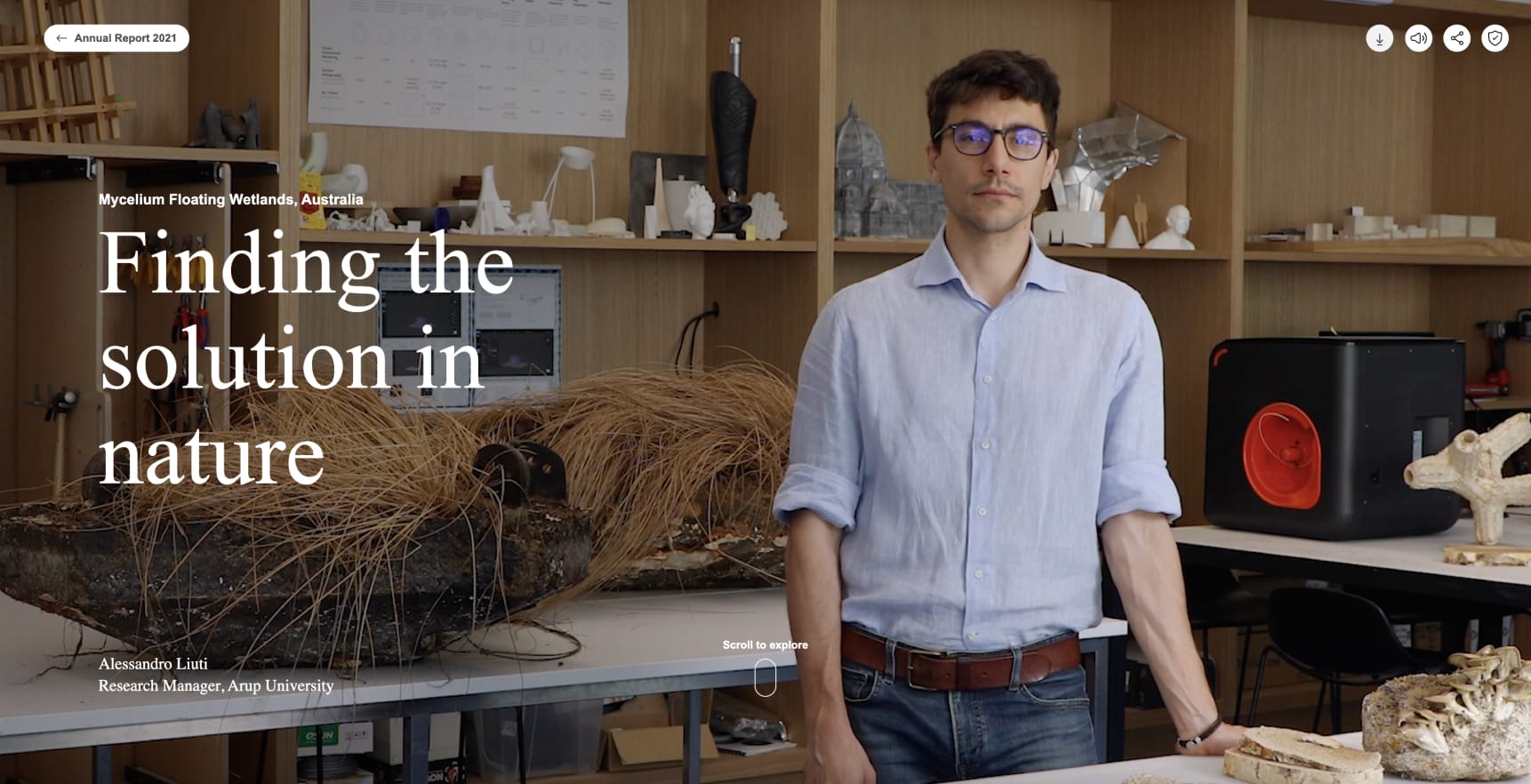 Best web development agency London exploring nature-inspired solutions.