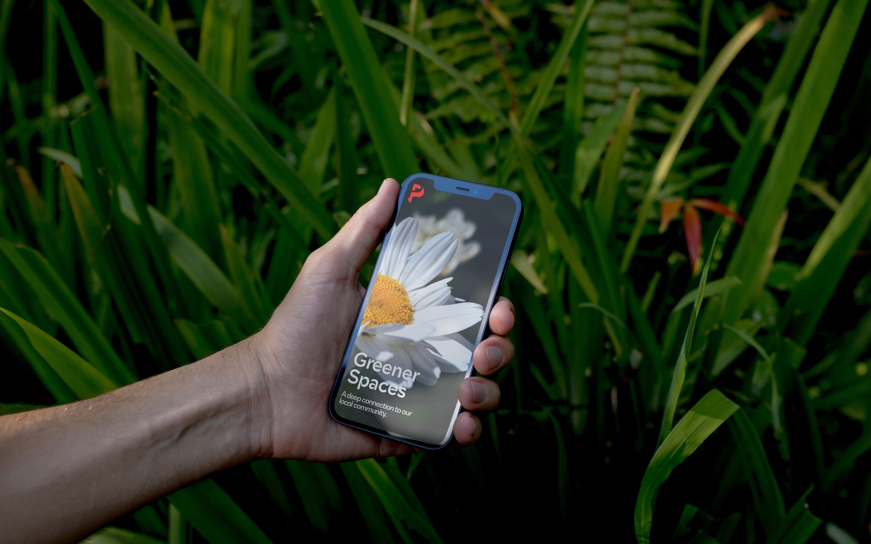 Best Contentful development agency UK providing innovative digital solutions.