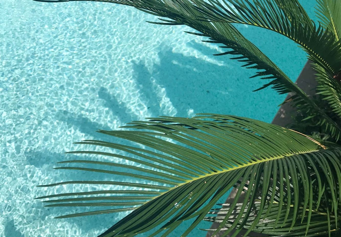 Tropical poolside oasis with palm shadows, perfect for the best WordPress web design agencies in London.